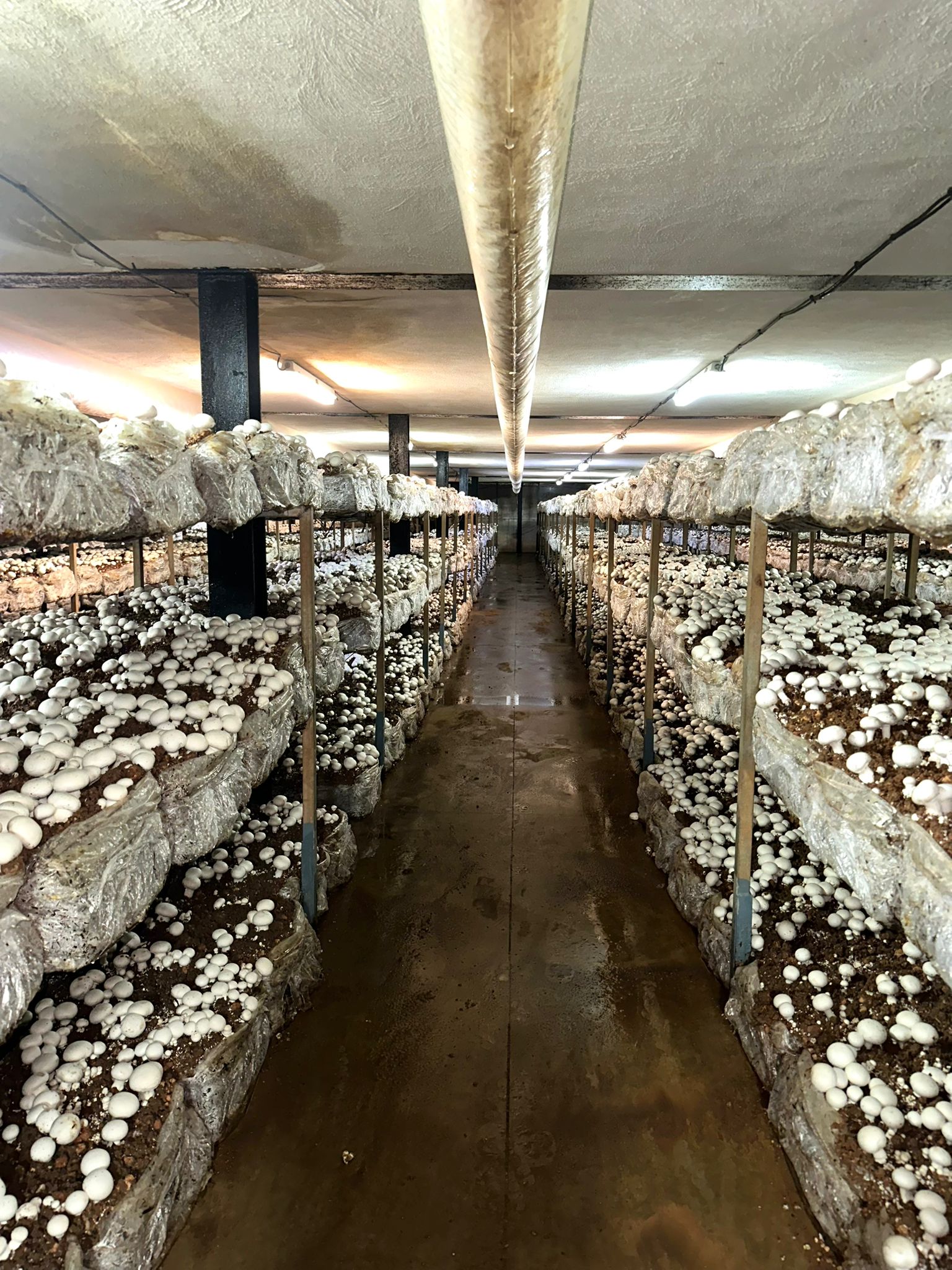 Inicio 4 IMG 20260128 WA0016